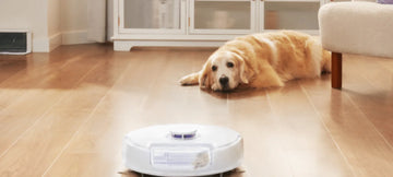 100+ Funny, Cute, and Clever Robot Vacuum Names (Female, Shark, Roomba) + Naming Tips & Generator Guide