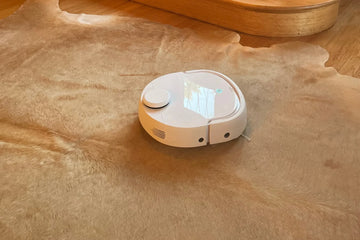 Meet Dustin – Our Family Narwal